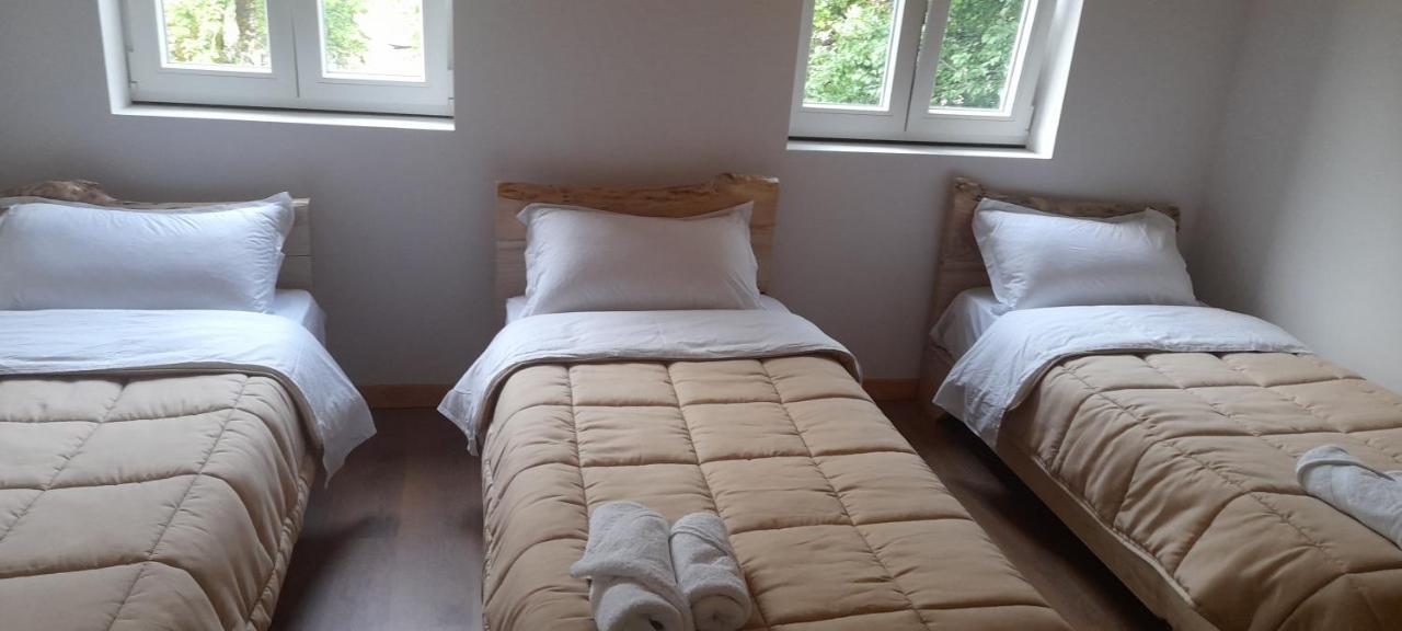 Guesthouse Dritan Tethorja Theth Δωμάτιο φωτογραφία