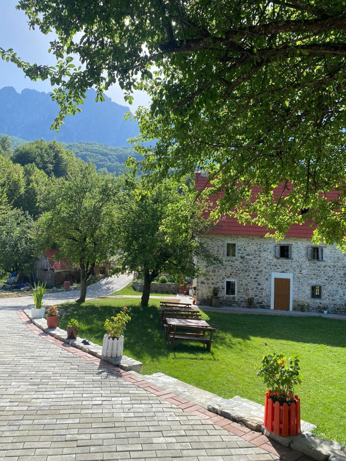 Guesthouse Dritan Tethorja Theth Εξωτερικό φωτογραφία