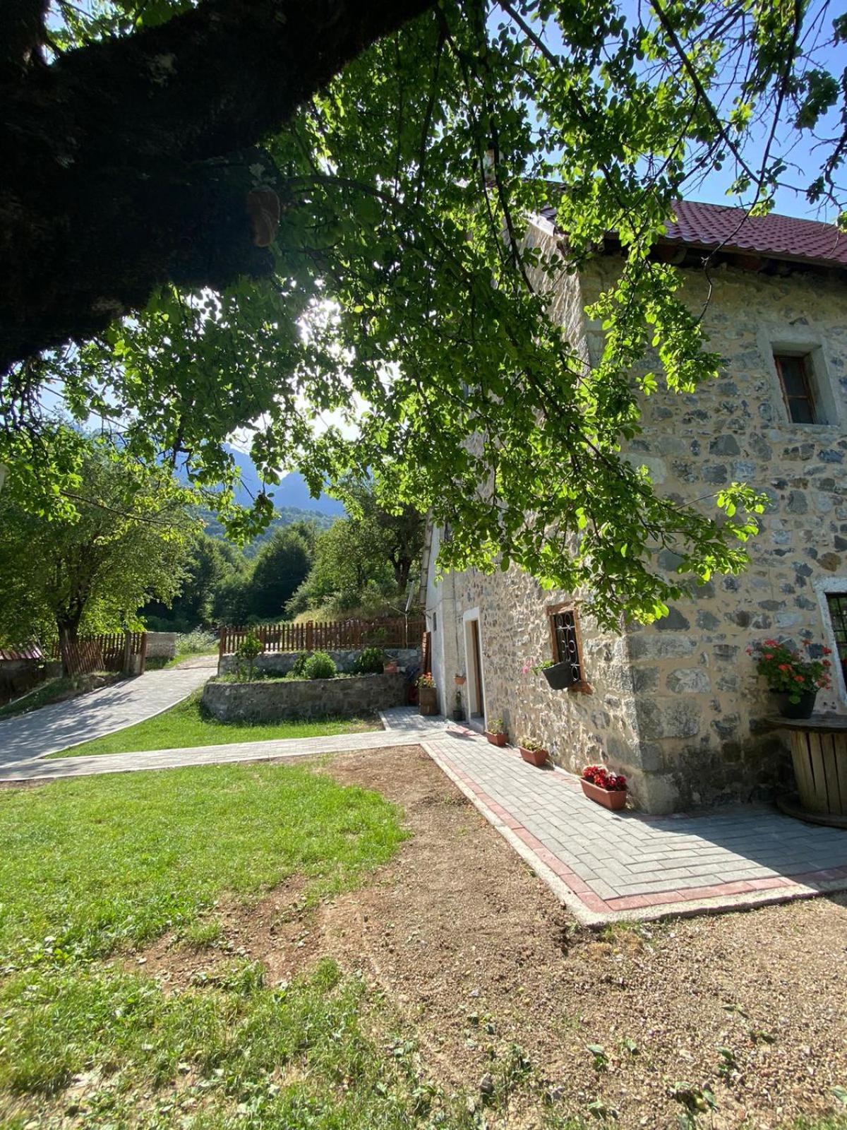 Guesthouse Dritan Tethorja Theth Εξωτερικό φωτογραφία