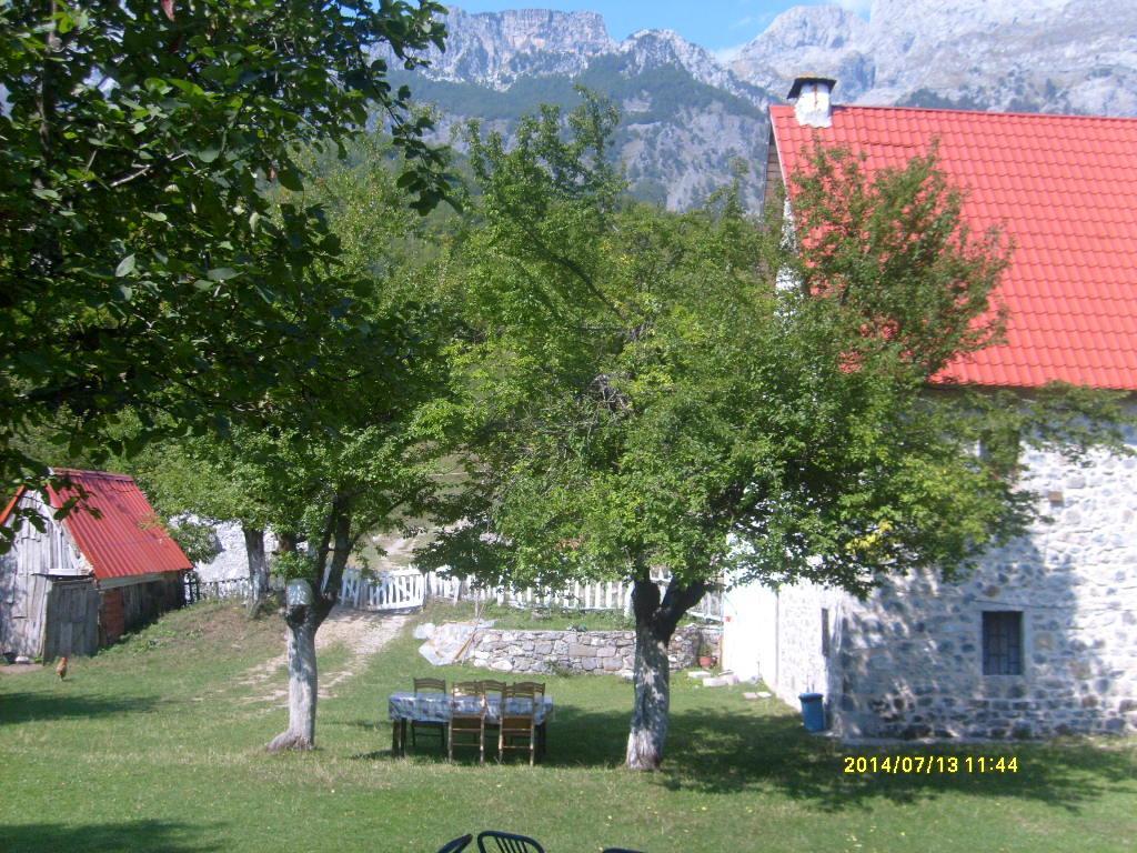 Guesthouse Dritan Tethorja Theth Εξωτερικό φωτογραφία
