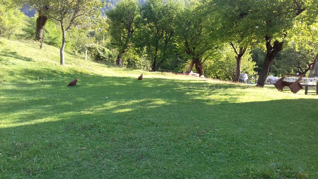Guesthouse Dritan Tethorja Theth Εξωτερικό φωτογραφία