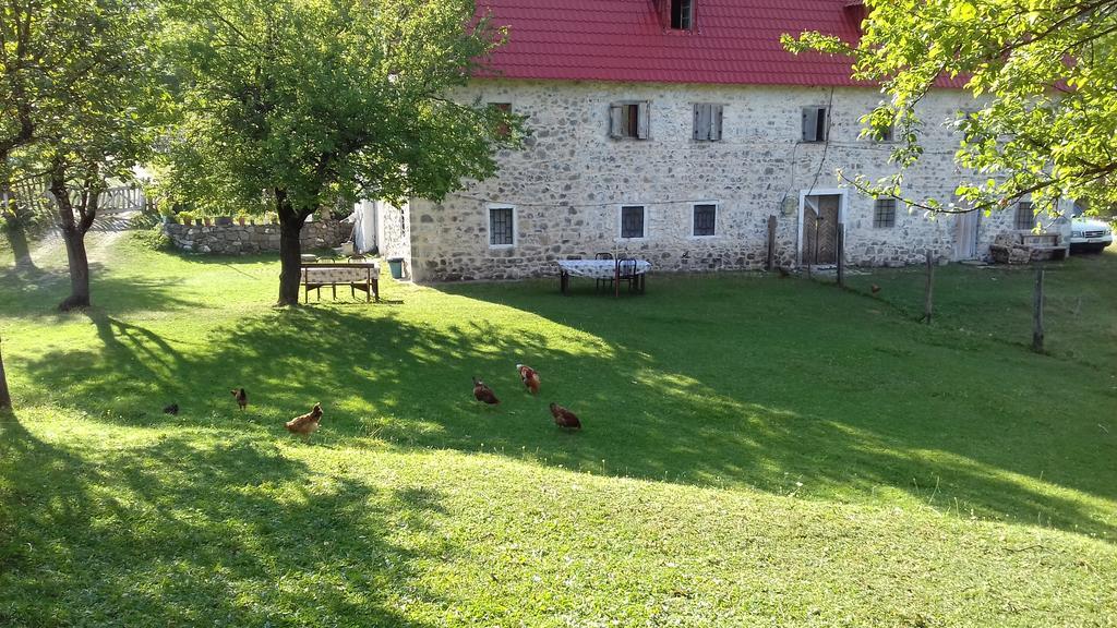 Guesthouse Dritan Tethorja Theth Εξωτερικό φωτογραφία