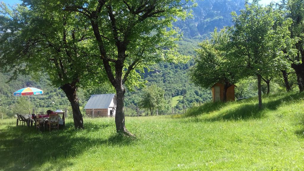 Guesthouse Dritan Tethorja Theth Εξωτερικό φωτογραφία