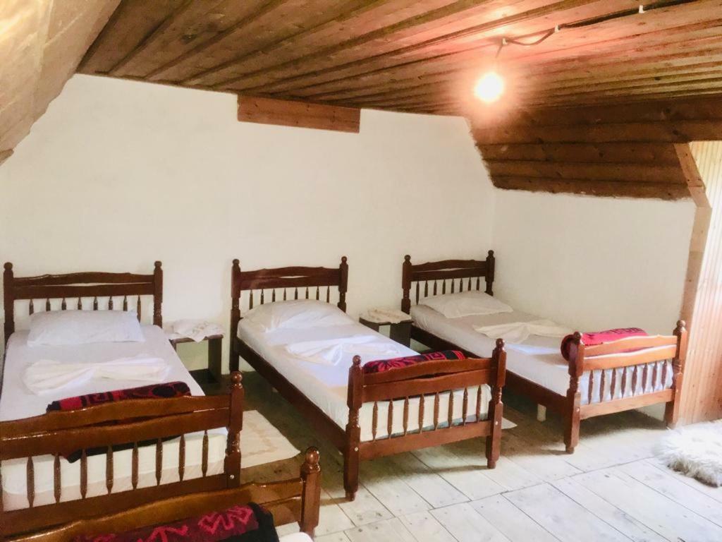 Guesthouse Dritan Tethorja Theth Εξωτερικό φωτογραφία